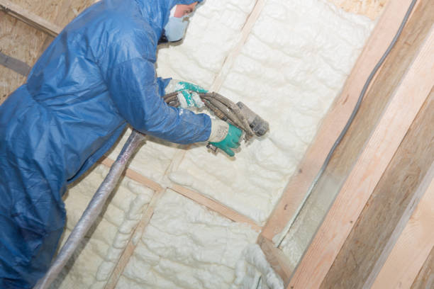 Types of Insulation We Offer in Raymond, WA